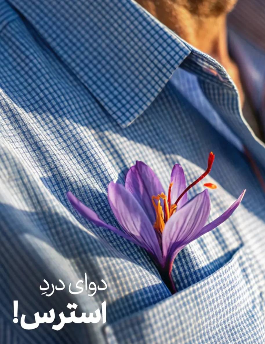 زعفران خشک‌شده آماده بسته‌بندی